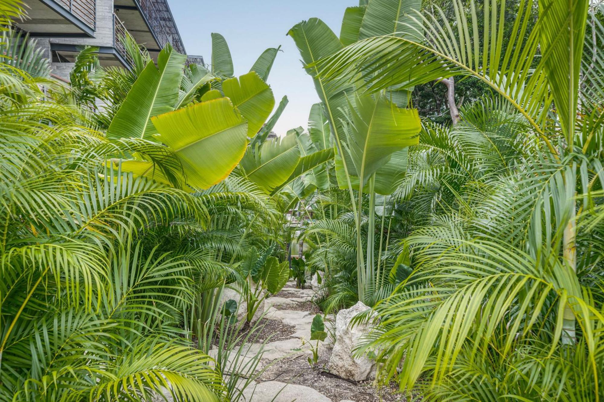 Waterworld Tulum 2Br W Cenote -Lagoons - Big Gym Exterior foto